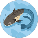 Carly Phillips profile picture